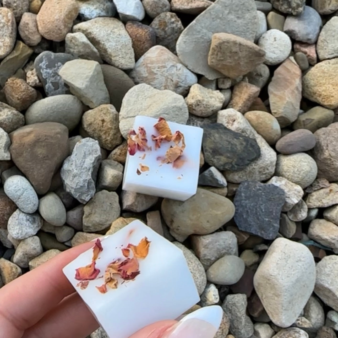 Botanical Wax Melts